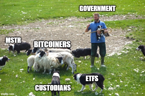 A meme using the 'sheep and border collies' template labeling various groups: 'GOVERNMENT' as the shepherd, 'MSTR', 'BITCOINERS', 'CUSTODIANS', and 'ETFS' as the sheep/dogs in the field (imgflip.com).