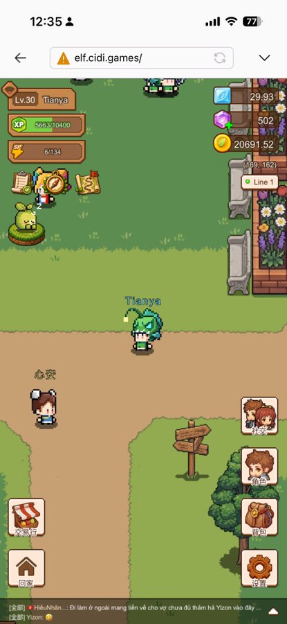 A mobile screenshot of the pixel art game 'elf.cidi.games/' showing a level 30 character named Tianya with 5663/10400 XP and 20691.52 gold in a green village setting.