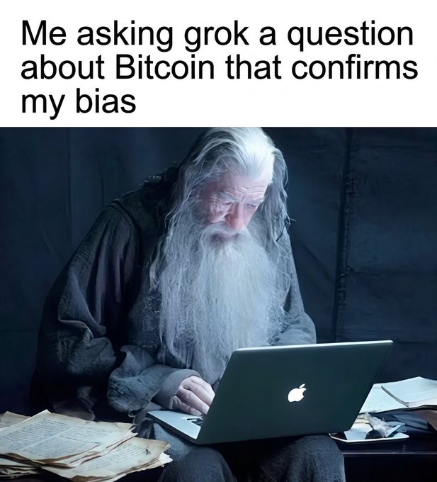 A meme featuring an elderly wizard-like figure using a MacBook laptop with text reading 'Me asking grok a question about Bitcoin that confirms my bias'.