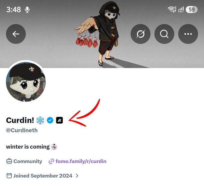 A Twitter/X profile screenshot of "Curdin! ❄️" (@Curdineth) with a small hooded chibi character avatar, showing "winter is coming" bio, joined September 2024, with a red arrow pointing to the verified checkmark.