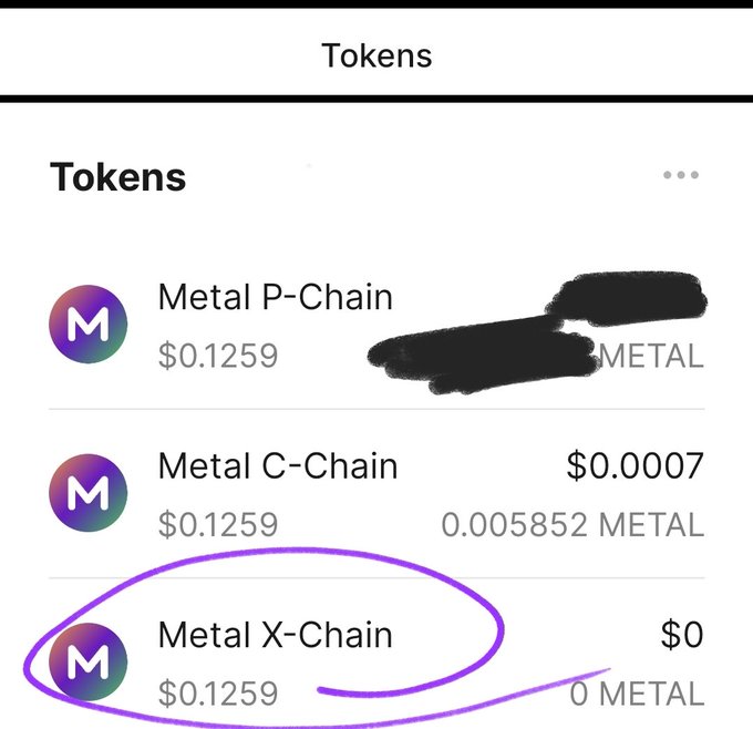 A cryptocurrency wallet screen showing tokens with 'Metal P-Chain' and 'Metal C-Chain' listings partially redacted in black, while 'Metal X-Chain' is circled in purple showing $0.