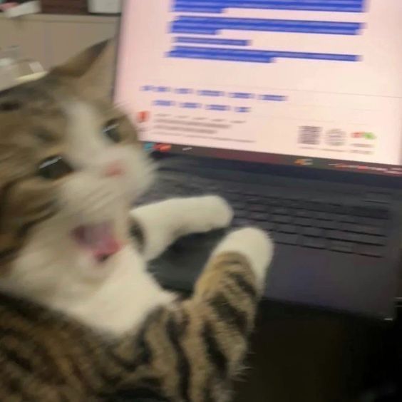 A fluffy tabby and white cat rests on a laptop keyboard with its mouth open, as if reacting to the document displayed on the screen.