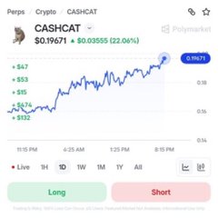 A financial trading chart for the token **$CASHAT** showing a price of **$0.19671**, up **22.06% (+$0.03555)**, with 47% gains over longer timeframes, alongside **Polymarket** branding—all visually supporting the post's claim that $CASHAT is experiencing frequent 20%+ daily pumps and growing on prediction markets.
