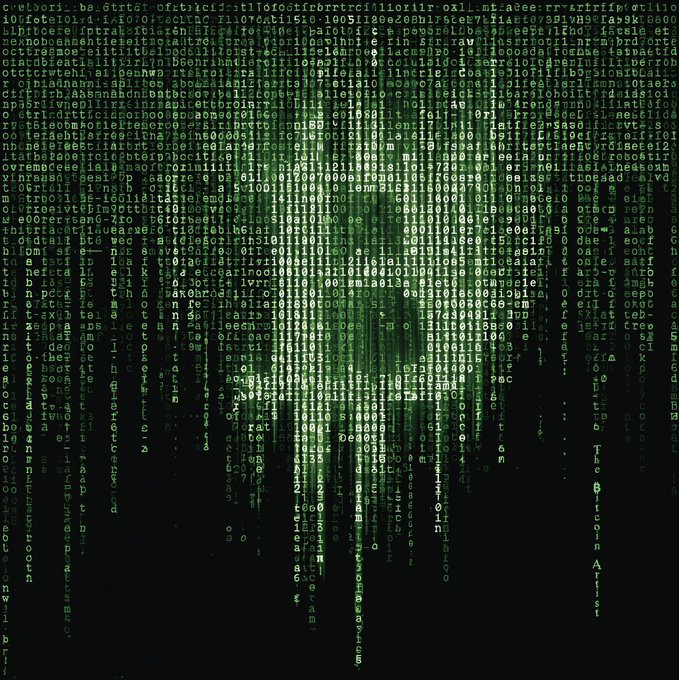 The image displays a green "Matrix-style" cascading code background (resembling the iconic digital rain from The Matrix film), symbolizing the cryptographic and decentralized nature of Bitcoin. This visual reinforces the post's message that "self-custody" of crypto assets is the only way to maintain true ownership and control, free from centralized intermediaries.