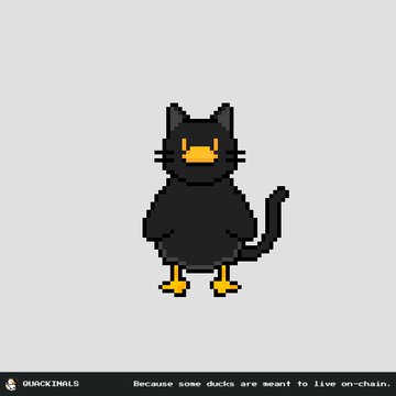 The image features a black cat with yellow eyes standing upright against a gray background. Below the cat's head, there are two yellow duck feet that give the impression of a quacking bird-like creature. The text below the image reads "Choose your meower... I mean, quacker." This phrase is likely meant to be humorous or playful, as it references the cat and its duck-like appearance.

The post also includes an explanation about ducks being able to live on chains, which adds a touch of humor to the image. The overall tone of the post seems lighthearted and amusing, with the cat and duck-like creature standing out against the gray background.