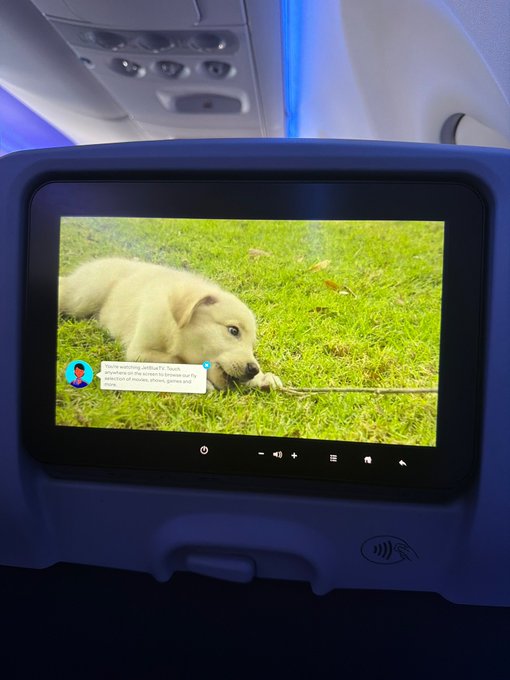 An in-flight entertainment screen displays a photo of a golden retriever puppy lying in grass, with a notification showing "Verify your account info $JOTCHUA" and text reading "To access the screen, please scan the attached QR code." The suspicious login prompt with a ticker symbol ($JOTCHUA) overlaid on a casual puppy photo appears to be a scam attempt disguised as an airline verification notice.