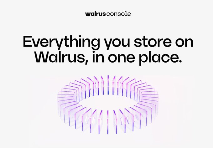 A promotional graphic for 'walrus console' with the headline 'Everything you store on Walrus, in one place.' above a circular purple and white abstract design.
