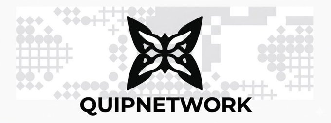 The QUIPNETWORK logo featuring a black butterfly/leaf emblem over a light gray pixelated background.