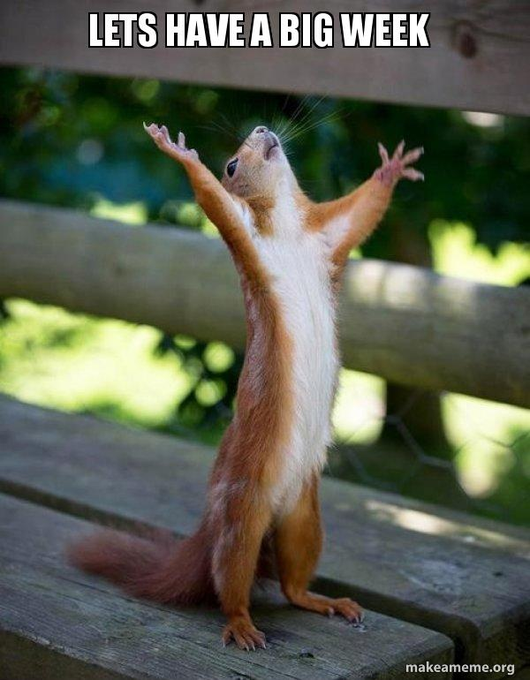 A meme image of a red squirrel standing on its hind legs with arms stretched upward in a celebratory pose, with white text reading 'LETS HAVE A BIG WEEK' and 'makeameme.org' watermark.