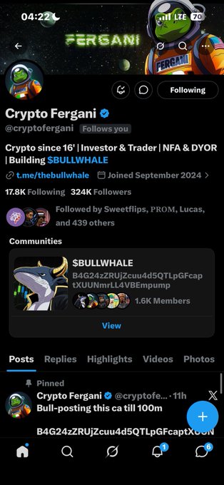 A Twitter/X profile for 'Crypto Fergani' (@cryptofergani) showing 17.8K followers, with a pinned post reading 'Bull-posting this ca till 100m' and a community link for $BULLWHALE.