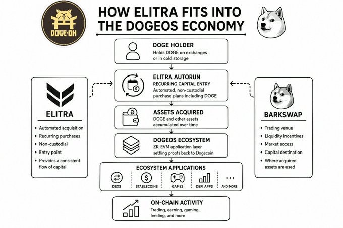An infographic titled 'HOW ELITRA FITS INTO THE DOGEOS ECONOMY' showing the flow of DOGE through Elitra Autorun, Asset Acquisition, Dogeos Ecosystem, and Ecosystem Applications including DEXs, stablecoins, games, and DeFi apps, with Barkswap on the side.