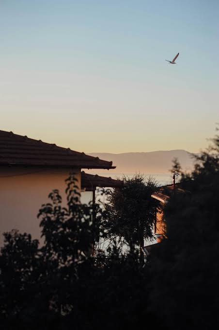 A serene sunset view of rooftops and foliage overlooking water and distant mountains, with a bird flying in the sky.