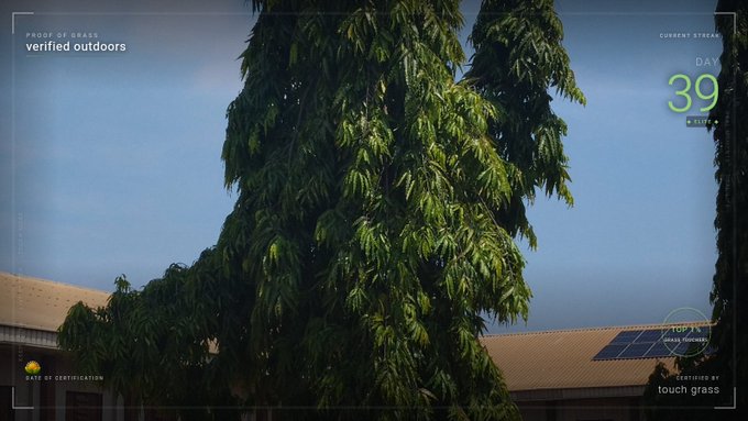A TouchGrass dashboard shows 'verified outdoors' certification with a Day 39 streak, featuring a view of a large green tree and a building with solar panels.