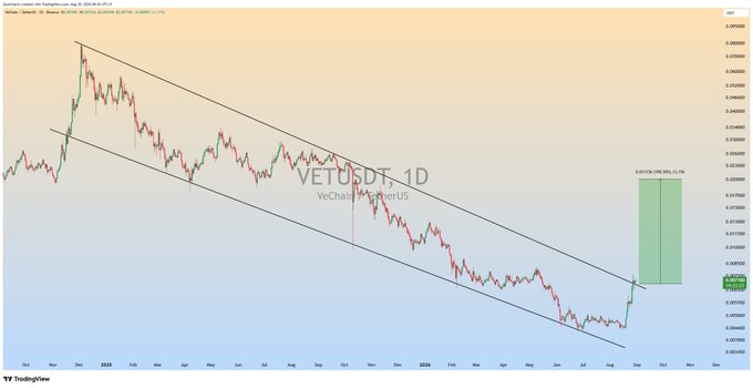 A daily candlestick chart of VET/USDT on Bybit shows the price breaking out of a descending channel pattern, with a green highlighted projection box indicating an anticipated bullish move of +111.1%, targeting the upper boundary near $0.0450. The chart spans from late 2022 through late 2024, illustrating the long-term downtrend reversal that supports the post's expectation of a 100–150% bullish wave.