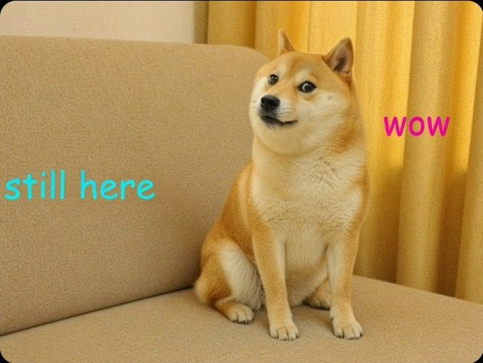 A Shiba Inu dog sits on a couch with the text 'still here' in cyan and 'WOW' in pink.