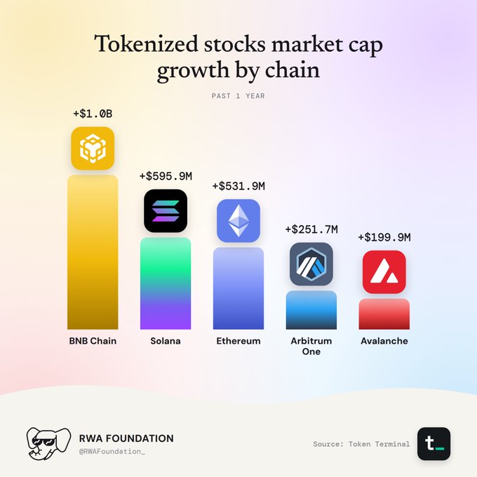 An infographic titled 'Tokenized stocks market cap growth by chain PAST 1 YEAR' showing bar chart values: BNB Chain (+$1.0B), Solana (+$595.9M), Ethereum (+$531.9M), Arbitrum One (+$251.7M), and Avalanche (+$199.9M), credited to RWA Foundation and sourced from Token Terminal.
