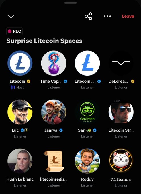 A screenshot of a Twitter Spaces audio room titled 'Surprise Litecoin Spaces' with the host 'Litecoin' and multiple listeners including Luc, Janry, San, Roddy, Hugh Le blanc, and others, currently recording as indicated by the REC indicator.