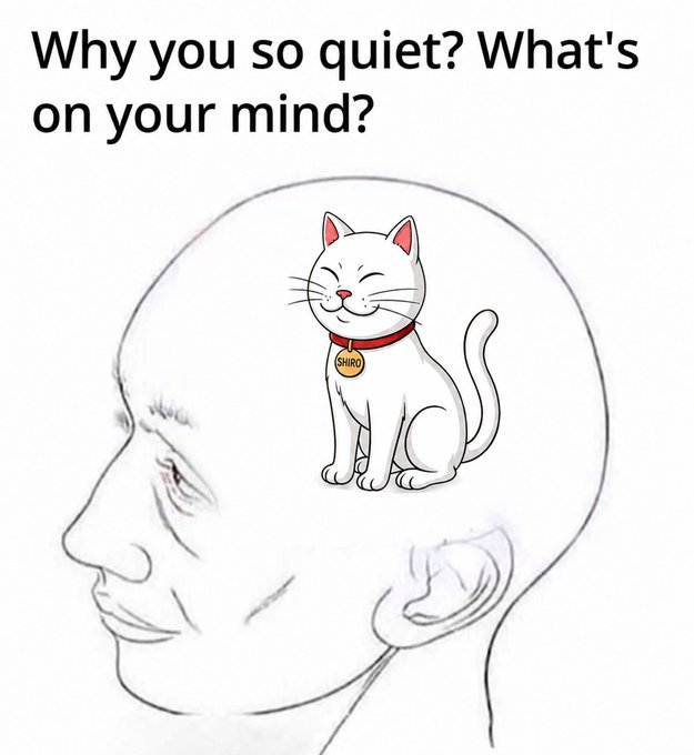 The image shows a sketch of a person's head with a smiling white cat wearing a "SHIRO" tag sitting inside the brain, paired with the caption "Why you so quiet? What's on your mind?" This humorously illustrates how SHIRO (the cat token) occupies someone's thoughts constantly, perfectly matching the post's joke about $SHIRO living rent-free in their mind.