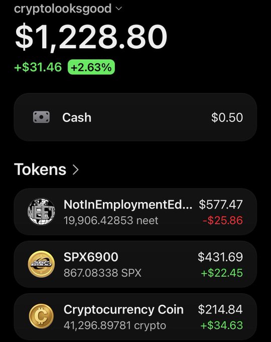 A crypto portfolio app showing 'cryptolooksgood' with a balance of $1,228.80 (+2.63%) including holdings in NEET, SPX6900, and Cryptocurrency Coin tokens.
