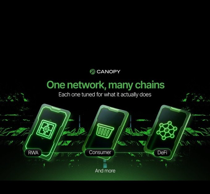 Canopy promotional image with the tagline 'One network, many chains - Each one tuned for what it actually does,' featuring three glowing green smartphone-like icons labeled RWA, Consumer, and DeFi.