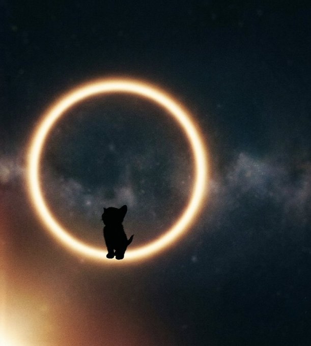 A silhouette of a small cat sitting in front of a glowing ring of light against a dark, starry background resembling a cosmic scene.