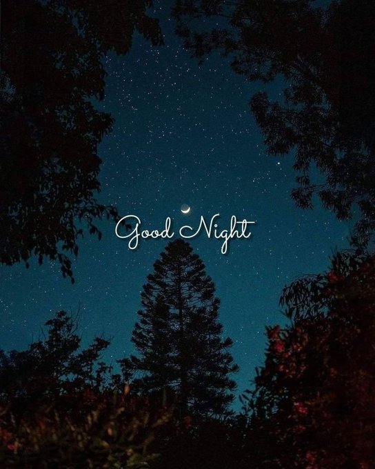 An aesthetic wallpaper showing a starry night sky framed by dark silhouettes of trees, featuring a crescent moon and the cursive text 'Good Night' in the center.