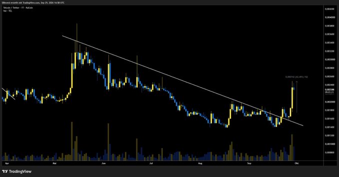 A TradingView candlestick chart for $TEL/USD on XE shows the price breaking out above a descending trendline with a +40% surge, supporting the post's claim of a strong pump from the entry point.