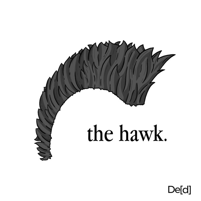 A minimalist illustration of dark, spiky hair shaped into an arch above the text 'the hawk.' with a 'De[d]' logo in the corner.