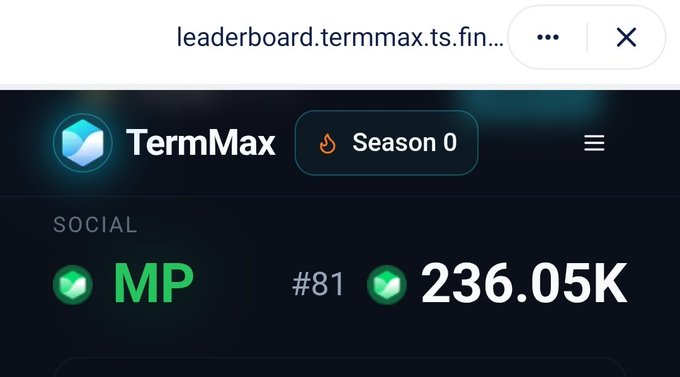 The image shows a computer screen displaying a leaderboard for a game called "TermMax TFN." The leaderboard has two columns, one for social scores and another for MP scores. There are three green circles representing social scores, with the highest score being in the top left corner and the lowest score at the bottom right corner. Additionally, there is a green circle labeled "MP" that shows the player's MP score. The leaderboard also displays the name of the game, "TermMax TFN," along with the season number (0) and the total number of players (3).