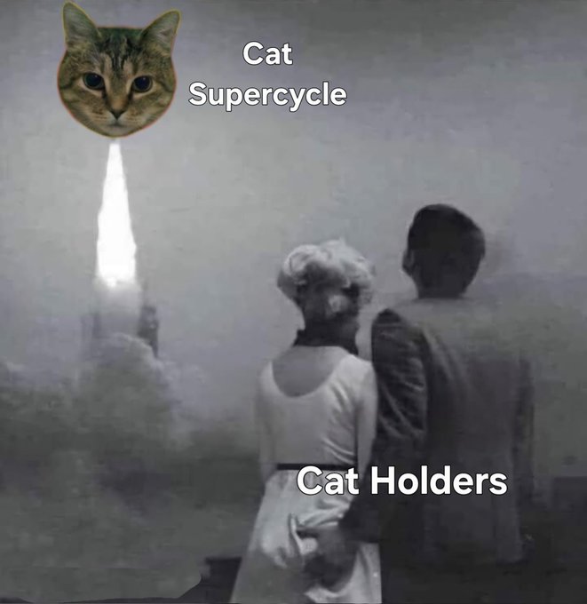 The image features a cat wearing a white dress, standing next to two people who are looking up at a rocket ship flying through the sky. Below the image of the cat, there's text that reads "Cat Supercycle Cat Holders". The caption also includes an image of a rocket ship and the words "Mooncat" written in code.