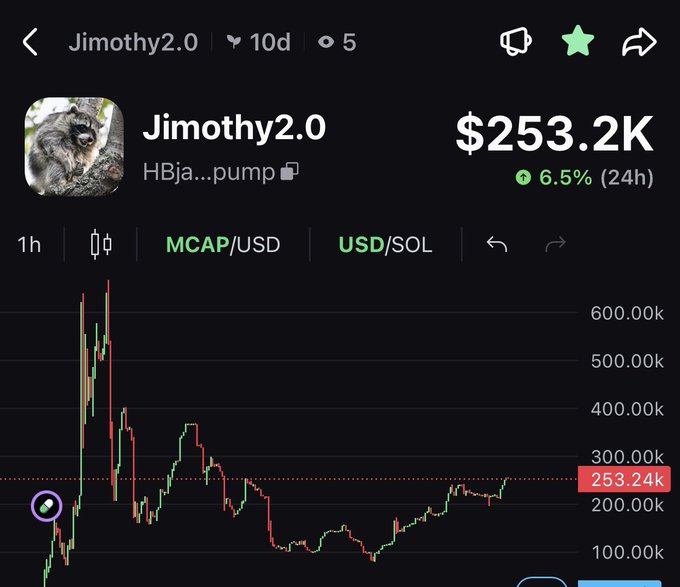 A cryptocurrency tracking app displays the 'Jimothy2.0' token with a market cap of $253.2K, showing a 6.5% increase over 24 hours and a candlestick price chart trending upward.