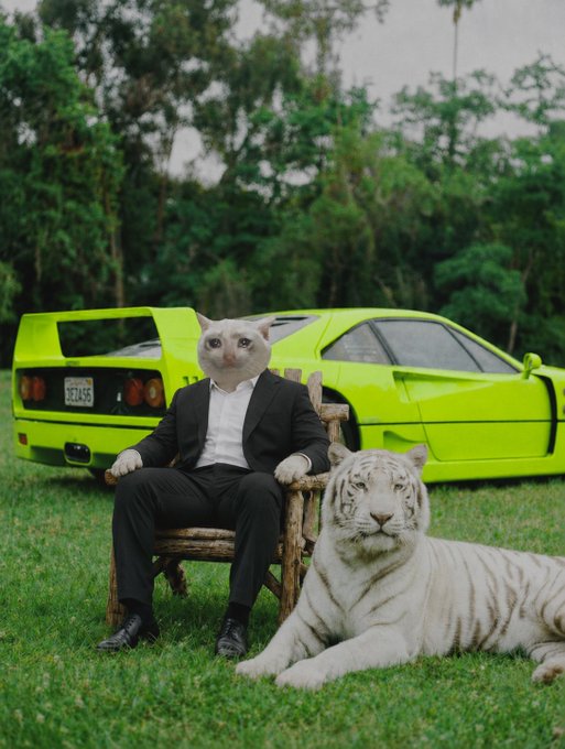 A cat-headed figure in a black suit sits confidently on a wooden chair beside a white tiger, with a lime-green Lamborghini (license plate TBA3468) parked behind them in a lush green setting—mirroring the "cash cat" luxury aesthetic of $CASHCAT while symbolizing the strength and dominance the coin aims to reclaim on Robinhood.
