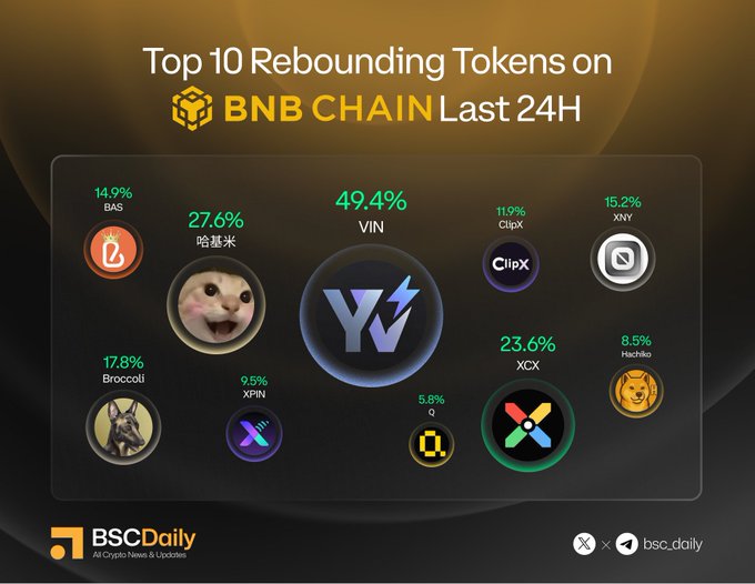 An infographic from BSCDaily displays the "Top 10 Rebounding Tokens on BNB Chain Last 24H," highlighting leading gainers such as VIN (+49.4%), 哈基米 (+27.6%), XCX (+23.6%), Broccoli (+17.8%), XNY (+15.2%), BAS (+14.9%), ClipX (+11.9%), XPIN (+9.5%), Hachiko (+8.5%), and Q (+5.8%), with the accompanying post listing each token's official social media handles.