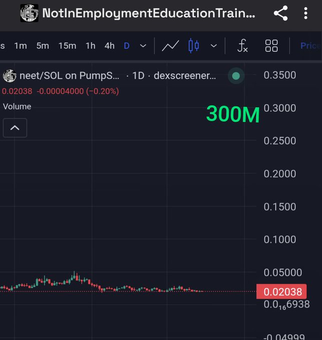 Screenshot of a dexscreener chart for neet/SOL on PumpSwap showing a price of 0.02038 with a marked 300M volume on a 1D timeframe.