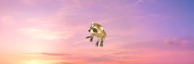 A small raccoon appears to float against a pink and purple sunset sky, matching the playful spirit of the $SUNCOON token banner. The whimsical scene evokes the meme-worthy, surreal energy often associated with Solana community tokens.