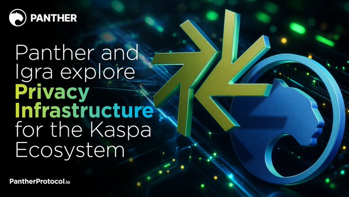 A promotional graphic for Panther Protocol stating 'Panther and Igra explore Privacy Infrastructure for the Kaspa Ecosystem,' featuring 3D logos of Panther and Kaspa coins.