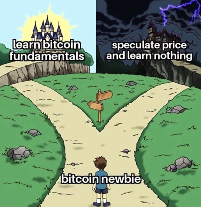 A meme showing a boy at a fork in the road, with the left path labeled 'learn bitcoin fundamentals' leading to a castle, and the right path labeled 'speculate price and learn nothing' leading to a dark, lightning-stricken castle, labeled 'bitcoin newbie'.