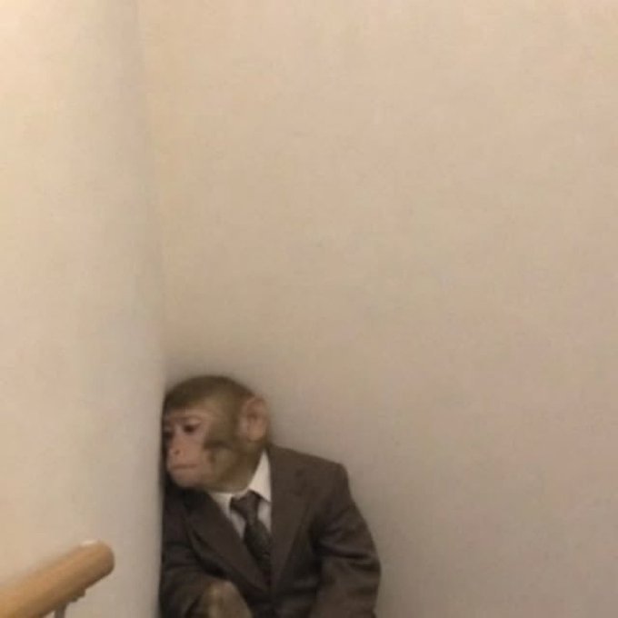 A photoshopped image of a monkey wearing a brown suit and tie sitting in the corner of a room.