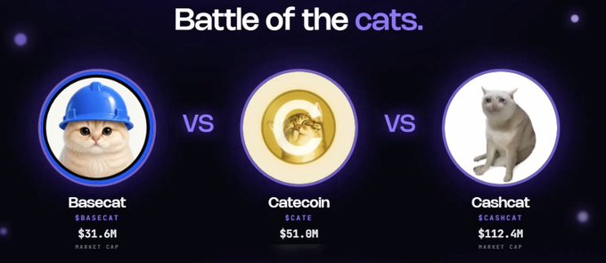 A graphic titled 'Battle of the cats' compares three cat-themed meme coins: Basecat ($31.6M), Catecoin ($51.0M), and Cashcat ($112.4M).