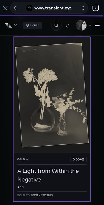 Screenshot from transient.xyz showing a sold NFT artwork titled "A Light from Within the Negative" (1/1) for 0.006Ξ, sold to @snekatoshi3.