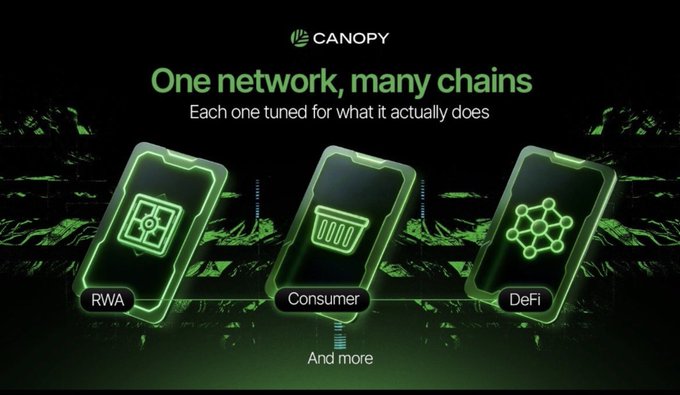 A promotional graphic for Canopy featuring the text 'One network, many chains — Each one tuned for what it actually does,' displaying three smartphone icons labeled RWA, Consumer, and DeFi, with 'And more' at the bottom.