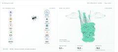 The image appears to be a blurred screenshot of a trading dashboard showing portfolio performance, with two faint green mascots/money bags labeled "Fly 1" and "Fly 2" that correspond to the post's humorous premise of letting a fruit fly manage $1 million in stocks and crypto trades.