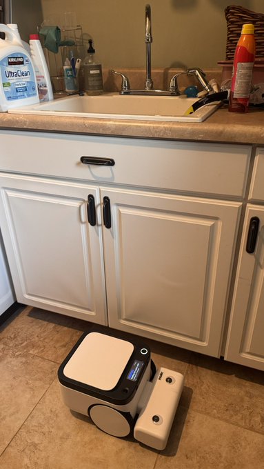 A Matic floor-cleaning robot sits patiently on the kitchen floor, waiting beneath the sink after running out of water during its cleaning cycle. Visible on the counter are a Clorox UltraClean bleach bottle, dish soap, and other cleaning supplies, providing a humorous context for the robot's predicament.