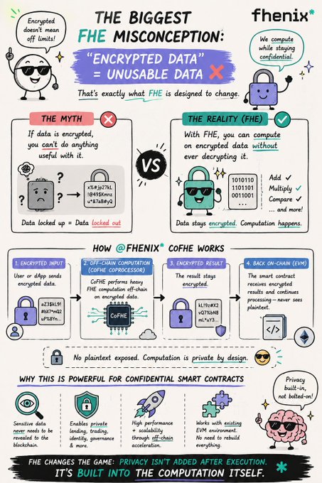 Fenix infographic titled 'THE BIGGEST FHE MISCONCEPTION' explaining that encrypted data is not unusable, showing how CoFHE (Coprocessor for Fully Homomorphic Encryption) works in 4 steps and why it's powerful for confidential smart contracts.