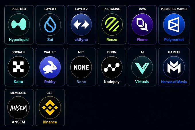 A crypto dashboard displaying various project categories and logos including Hyperliquid, Sui, zkSync, Renzo, Plume, Polymarket, Kaito, Rabby, None, Nodepay, Virtuals, Heroes of Mavia, ANSEM, and Binance.