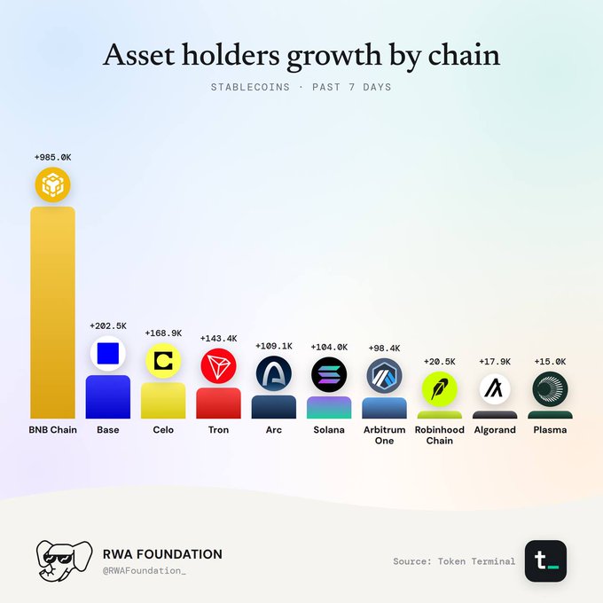 A bar chart titled 'Asset holders growth by chain' showing stablecoin data over the past 7 days, with BNB Chain leading significantly at +985.0K, followed by Base (+202.5K), Celo (+168.9K), Tron (+143.4K), and others, credited to RWA Foundation and sourced from Token Terminal.