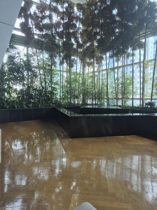A sunlit indoor atrium filled with lush bamboo and other greenery, surrounded by floor-to-ceiling windows and featuring polished wooden floors and reflective black planters. The serene, nature-filled setting makes for a peaceful "Good Morning" backdrop to brighten everyone's Friday.