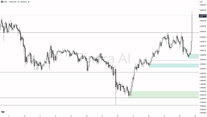 A TradingView candlestick chart for 'ELONC / TetherUS - 1h - Binance' shows price action with a 'Trade Ideas AI' watermark, horizontal support/resistance zones shaded in green, and a sudden price spike on the right edge.