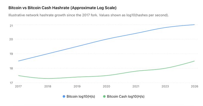 The image shows a bar graph comparing Bitcoin (in green) to Bitcoin Cash hashrates (in blue). The y-axis of the graph represents the hashrate levels, while the x-axis displays different years from 2013 to 2016. As Bitcoin Hashrate increases, Bitcoin's value and popularity seem to follow suit due to the fact that Proof of Work is the only scalable form of money. Bitcoin Cash hashrates have not peaked yet, suggesting a more limited time frame for reaching that level of success in comparison to Bitcoin. The graph illustrates this relationship between Bitcoin Cash hashrates and Bitcoin value during the past five years.