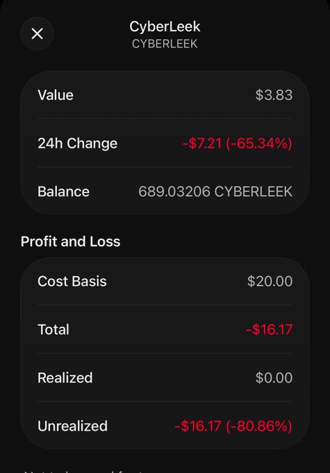 A cryptocurrency portfolio screen shows CyberLeek token with a value of $3.83, a 24h change of -$7.21 (-65.34%), a balance of 689.03206 CYBERLEEK, and an unrealized loss of -$16.17 (-80.86%).
